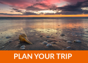 Plan your trip
