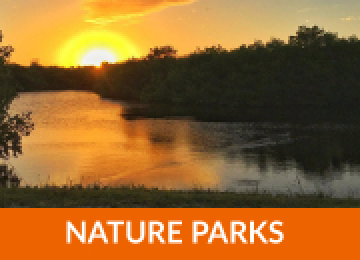 Nature Park