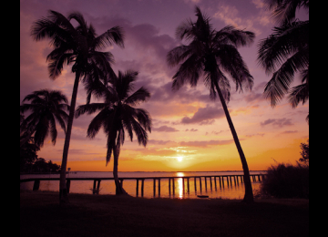 Sunsets