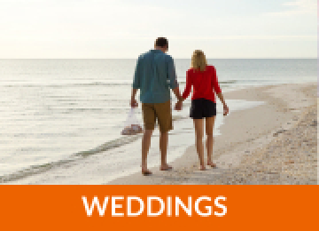 Wedding and Honeymoons